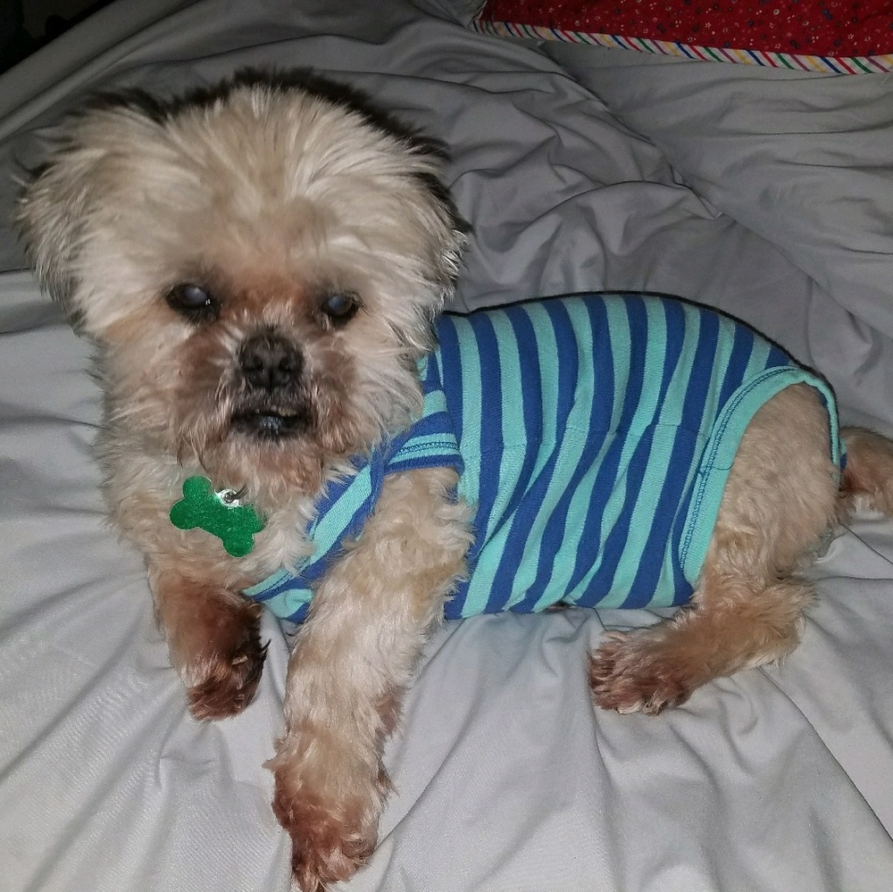 Meet your Posher, Amy